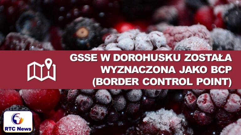 GSSE w Dorohusku jako BCP (border control point)